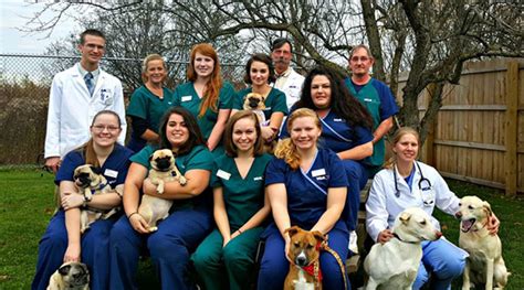 Queen village animal hospital - 9:00 am - 6:00 pm. Fri: 9:00 am - 2:00 pm. Sat - Sun: Closed. Get exceptional Veterinary services from highly experienced & loving pet care professionals in Camden, NY. Visit Queen Village Animal Hospital today.